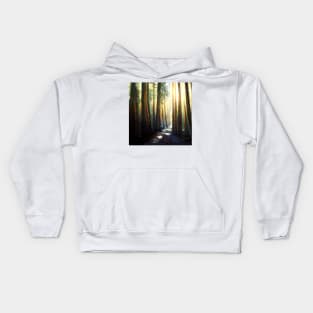 Tall trees lining a forest path as the sun shines through. Kids Hoodie